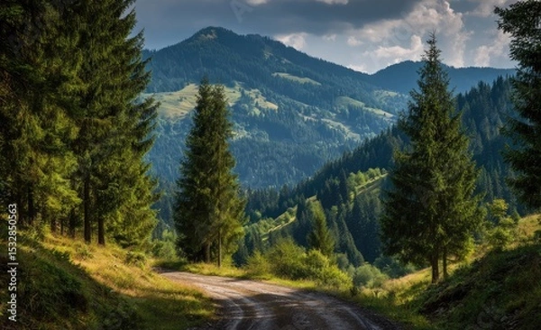 Fototapeta Sun-dappled dirt road winds through lush evergreen forest towards majestic, rolling mountains under a partly cloudy sky