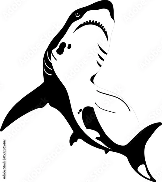 Fototapeta Featuring black-white stylized shark slanting up on transparent backdrop showing triangular teeth