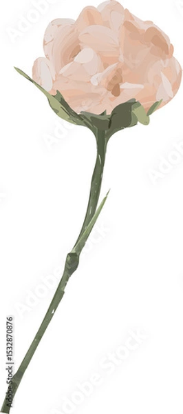 Obraz Peach bloom is floating in flat with layered petals, green stem and leaves, transparent background