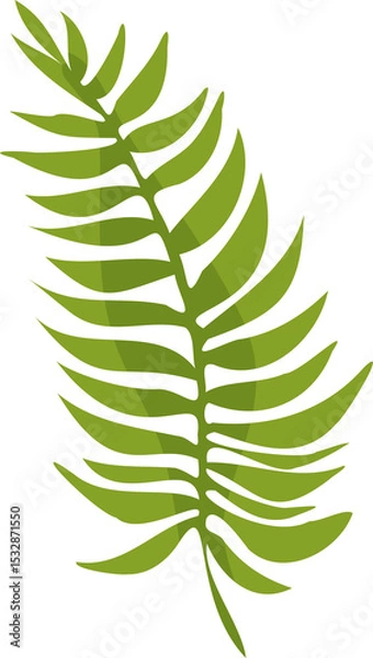 Obraz Stylized fern frond is being shown in flat vector design with transparent background