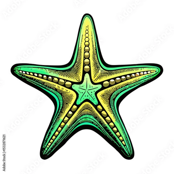Obraz Colorful starfish illustrated with vibrant patterns with no background