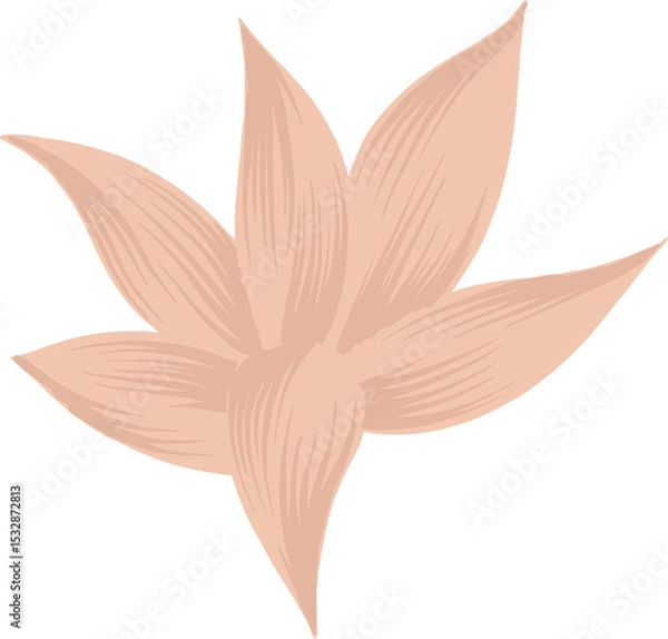 Fototapeta Abstract six-petaled flat floral design is showing pastel peach petals on transparent background
