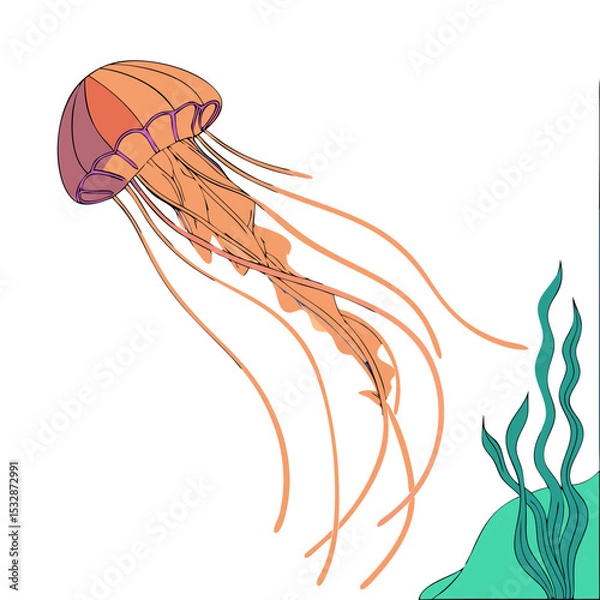 Obraz Graceful jellyfish floating in the ocean with seaweed 