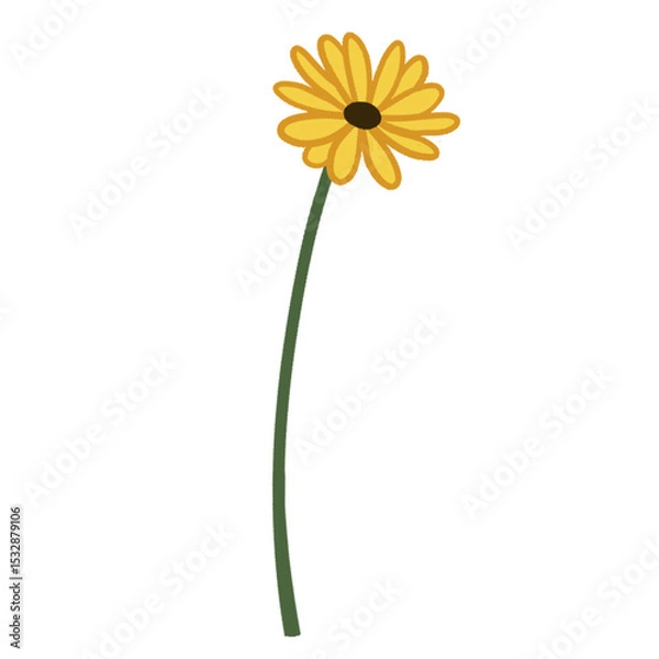 Fototapeta Stylized yellow daisy bloom is floating on transparent background with petals and curved stem