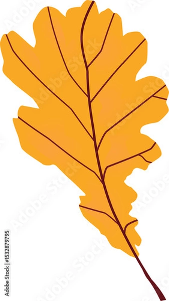 Obraz Bright orange oak leaf is being shown in flat design, with brown veins, transparent background