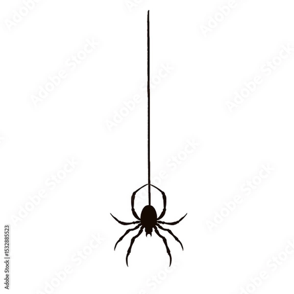 Obraz Spider silhouette is dangling from thin silk thread in flat design with transparent background