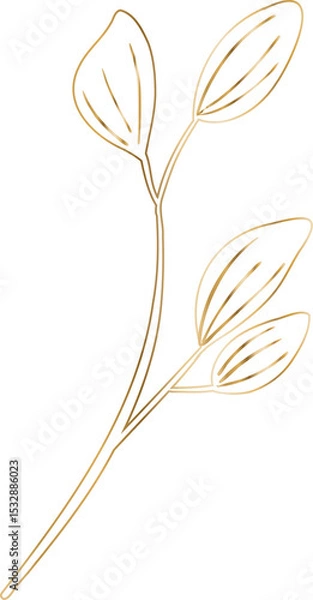 Obraz Flat design showing stylized leafy branch with four gold-outlined leaves, transparent background