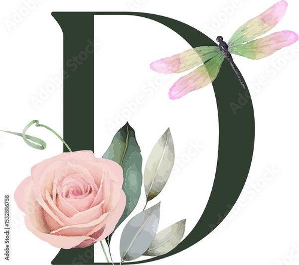 Fototapeta Showing stylized letter D on transparent background, with watercolor rose and pastel dragonfly