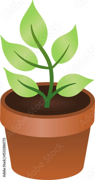 Fototapeta Green seedling is sprouting in terracotta pot with shaded leaves and soil on transparent background