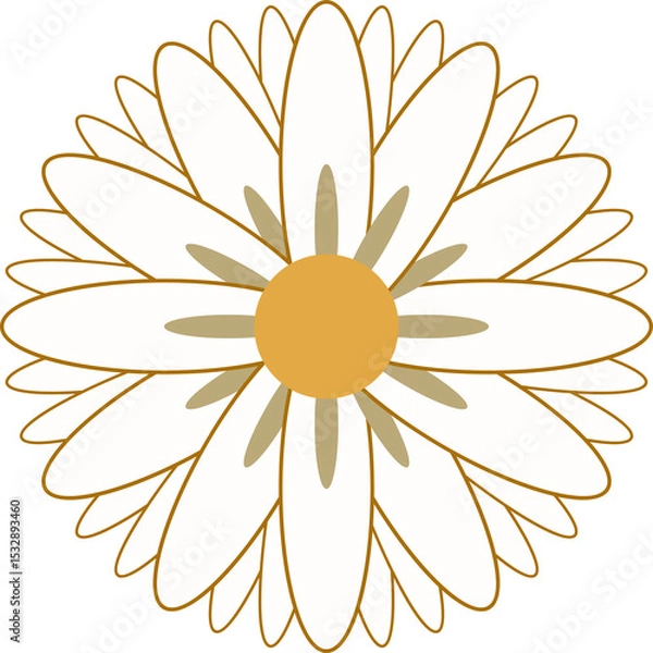 Fototapeta White daisy is being shown in flat vector, gold outlines and yellow center, transparent background