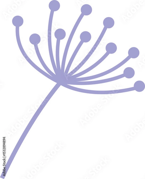 Obraz Flat design dandelion seed head floating on transparent background, displaying purple filaments