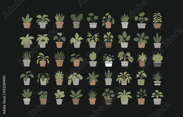 Obraz Collection of houseplants in pots flat design illustration