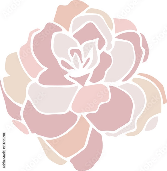 Fototapeta Vector flower is showing layered rose-like petals forming radial blossom, transparent background