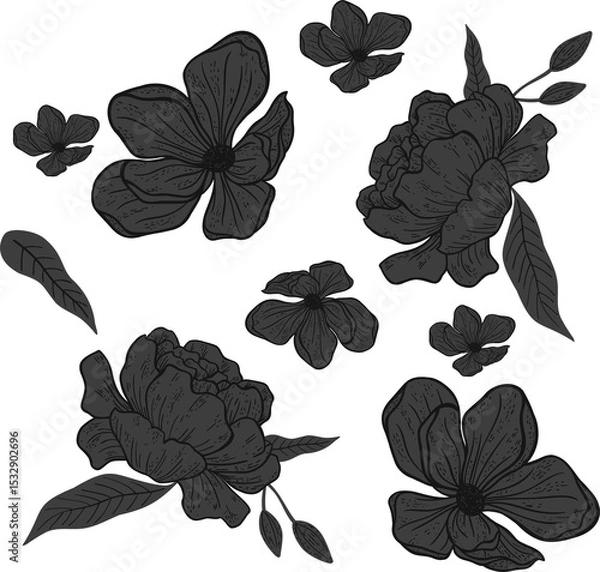 Fototapeta Floral line art is featuring layered peony blooms with buds and leaves on transparent background