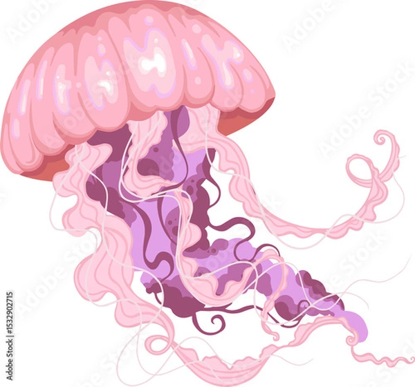 Fototapeta Stylized vector jellyfish is floating, pink-purple bell flowing tentacles, transparent background
