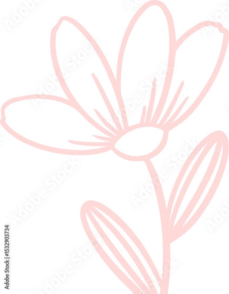 Fototapeta Displaying stylized pink line art flower on transparent background, highlighting petals stem leaves