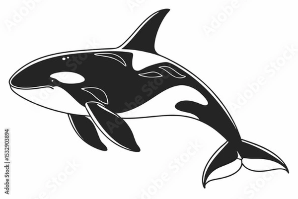 Fototapeta orca sihouette black vector