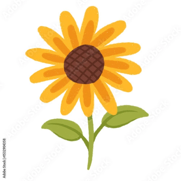Fototapeta Hand-drawn flat sunflower is floating on transparent backdrop with brown center and yellow petals