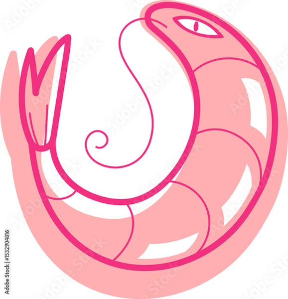 Fototapeta flat pink shrimp is curling into horseshoe form with transparent background and glossy highlights