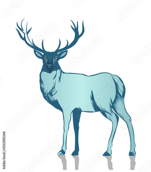 Obraz Stag is standing in flat design with white outline, blue and teal shades, transparent background