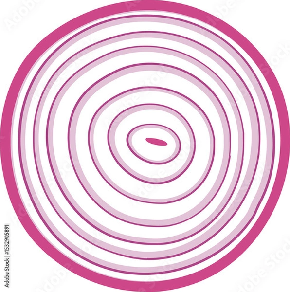 Fototapeta Flat design onion cross-section is floating on transparent background, featuring magenta rings