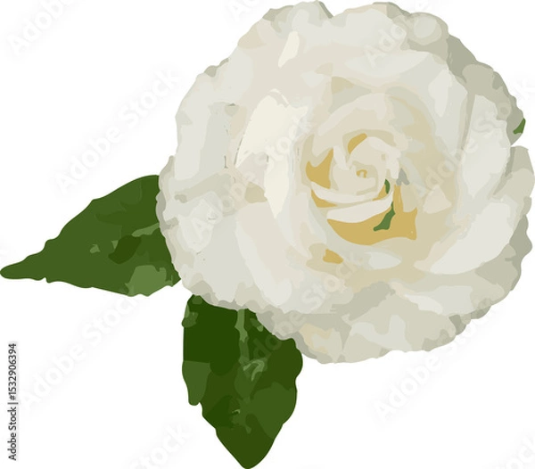 Fototapeta Realistic white vector rose is being displayed on transparent background, featuring green leaves