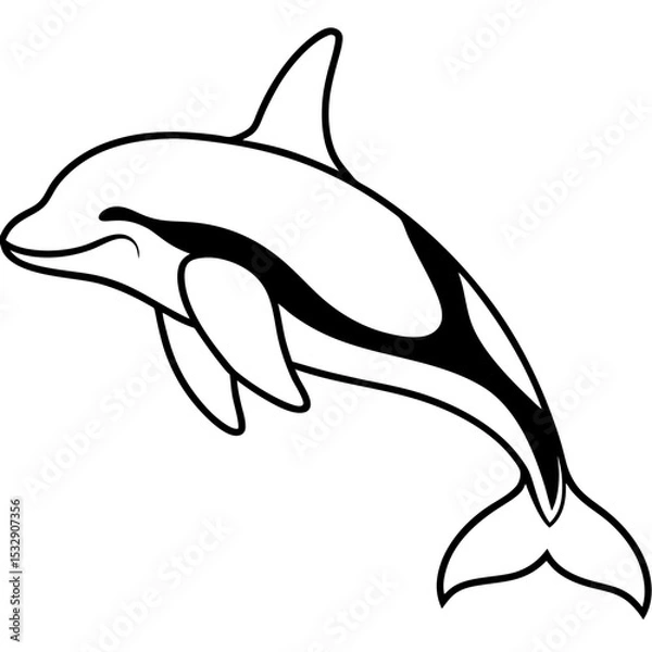 Fototapeta Orca Outline line art vector 