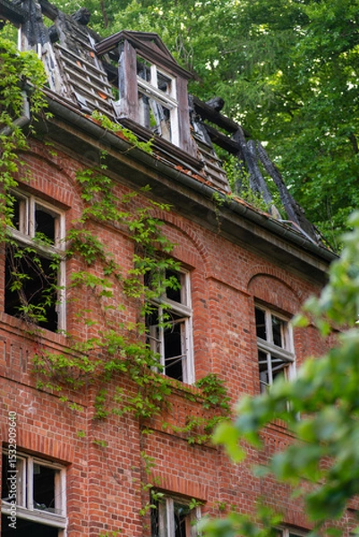 Fototapeta Photo of an abandoned red brick house with a damaged roof and empty window frames. The facade is overgrown with green climbing plants, emphasizing a sense of decay and the passage of time. The house 
