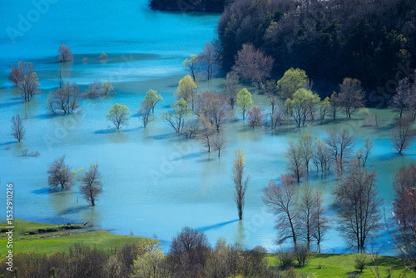 Fototapeta bank of a river of turquoise waters with the riverbed overflowing due to the abundant rainfall, trees partially flooded