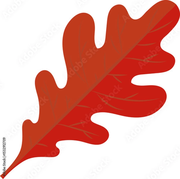 Fototapeta Vector-style red oak leaf is floating with lobes and veins on transparent background
