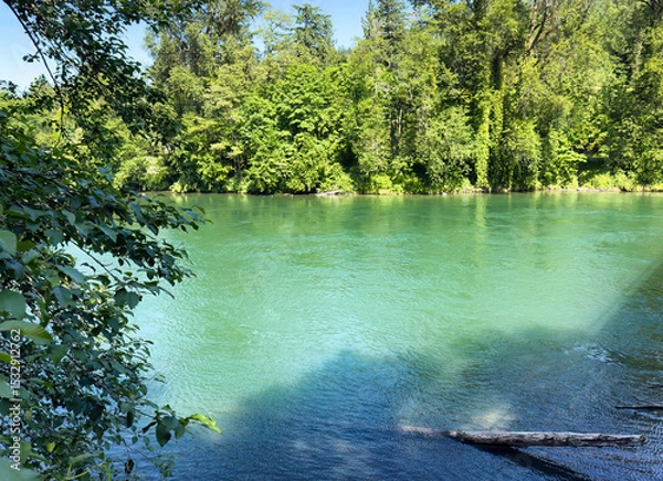 Fototapeta Skagit river with green color water in Washington state after snow melt from the Cascade Mountain in late spring