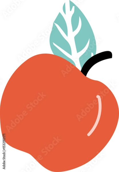 Obraz Displaying vector orange-red fruit with black stem, turquoise leaf, shine on transparent backdrop