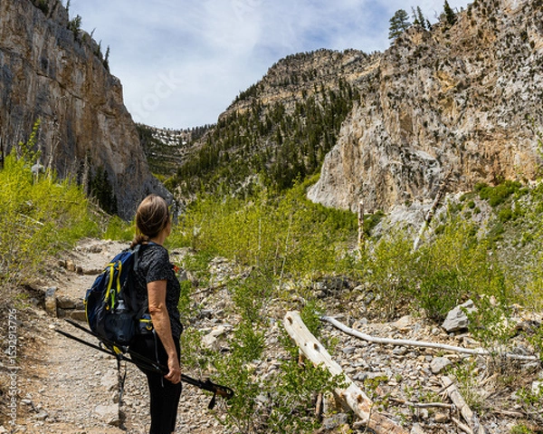 Fototapeta Female Hiker With View of The Echo Cliffs on The Echo Trail, Spring Mountains National Recreation Area, Nevada, USA