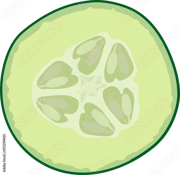 Fototapeta Flat illustration is showing cucumber slice cross section with radial seeds on transparent backdrop