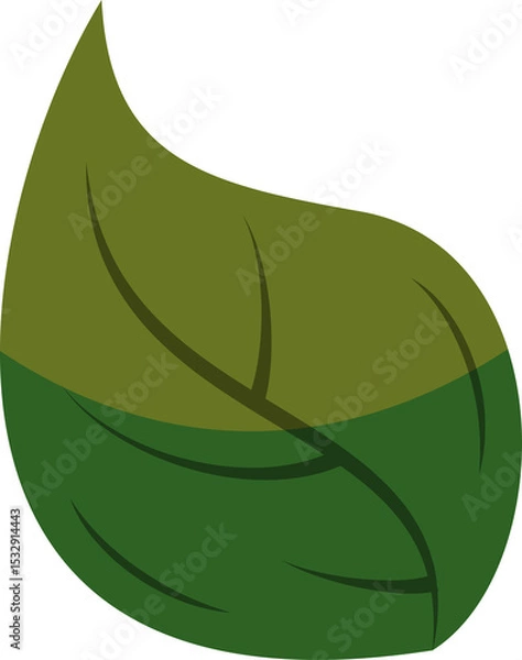 Fototapeta Flat vector two-tone green leaf icon is floating on transparent background, showing vein details