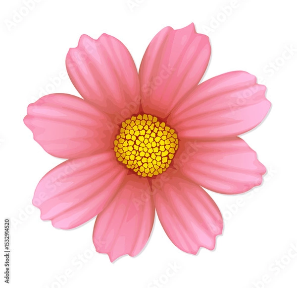 Fototapeta Flat pink flower is floating on transparent background, showing yellow center and eight petals