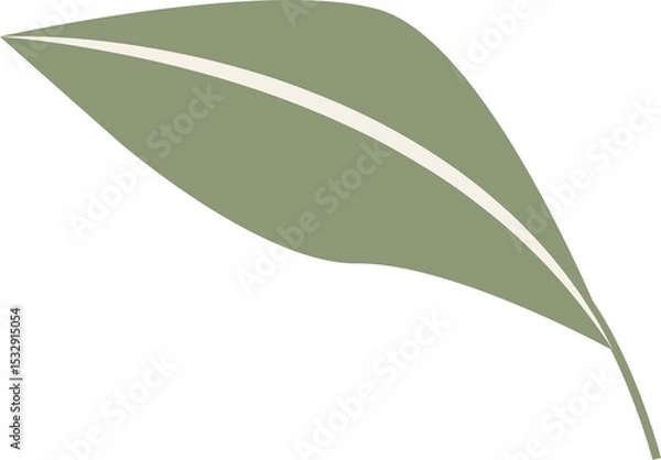Obraz Stylized leaf design is being displayed flat, showing green midrib stripe on transparent background