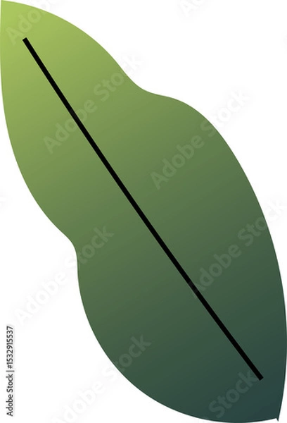 Obraz Abstract green leaf shape is floating in flat design with black diagonal vein on transparent canvas