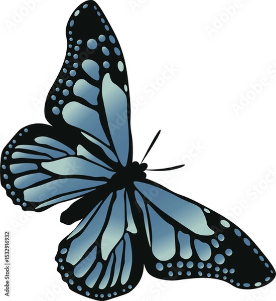 Obraz Flat design butterfly showing blue wing spots, black outlines on transparent background, copy space