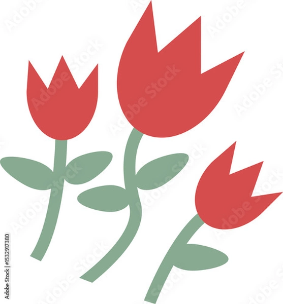 Obraz Three red tulip flowers are blooming on green stems and leaves, flat vector, transparent background