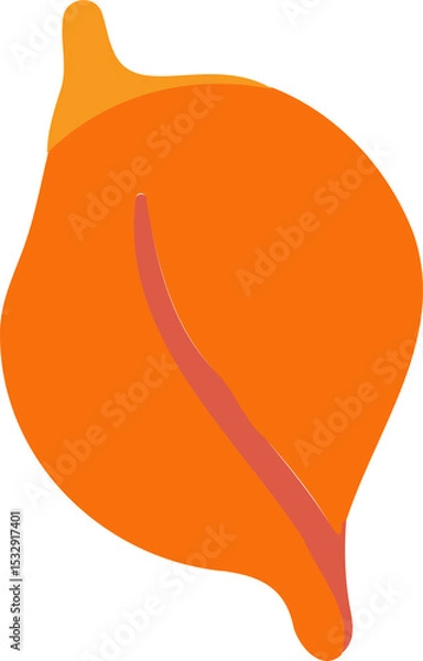 Obraz Abstract orange leaf shape with curved red vein is floating in flat design, transparent background