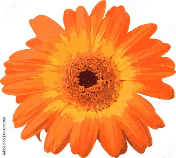Fototapeta Gerbera daisy is radiating orange and yellow petals in flat vector art transparent background