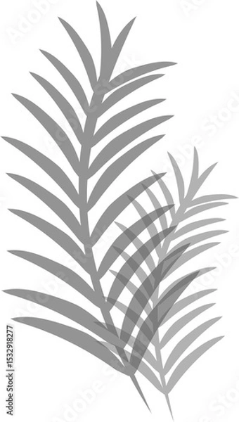 Obraz Palm frond silhouettes are overlapping in flat vector with layered shapes, transparent background