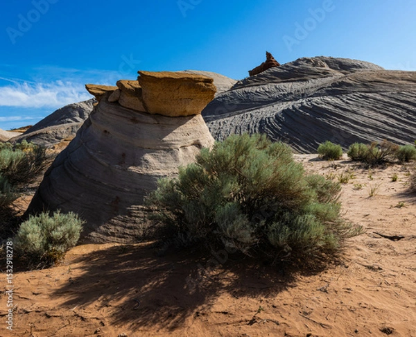 Fototapeta Sandstone Formations on Ancient Petrified Layered Sand Dunes, Nautilus Trail, Paria Canyon-Vermillion Cliffs Wilderness, Utah, USA