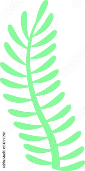 Obraz Stylized mint green fern frond is floating in flat illustration, transparent background
