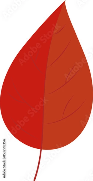 Obraz Stylized leaf is showing two-tone red orange in flat design with veins on transparent background