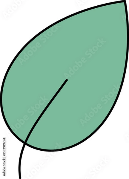 Obraz Stylized green leaf flat design is floating on transparent bg with black outline, vein, copy space