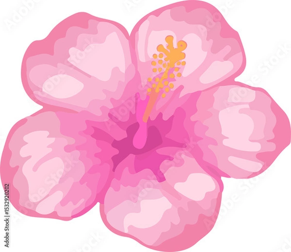 Fototapeta Flat design pink hibiscus blooming on transparent background showing five petals and yellow stamen