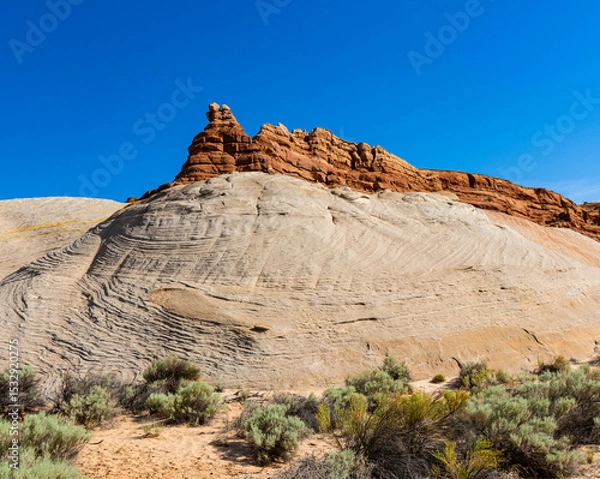 Fototapeta Red Kayenta Sandstone Formations on Ancient Petrified Layered Sand Dunes, Nautilus Trail, Paria Canyon-Vermillion Cliffs Wilderness, Utah, USA