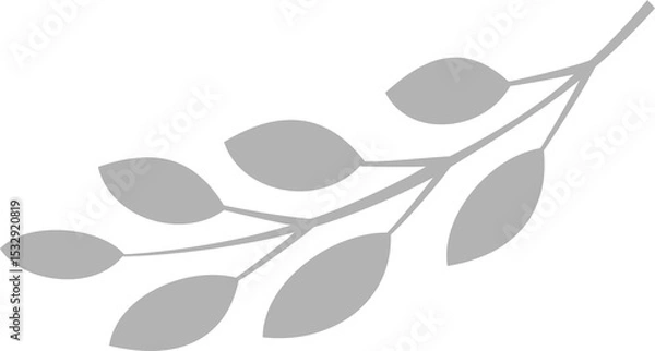 Obraz Botanical branch silhouette is resting on transparent background with elongated oval leaves